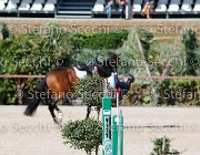 Apolloni Baby Arko GioCav2013 S5 1915 : Apolloni Gianluca, Baby Arko, Campionati Italiani Giovani Cavalli, Cattolica, ph Stefano Secchi ©